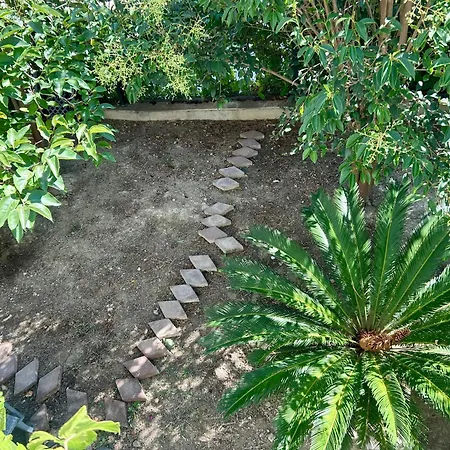 Appartement Summertime